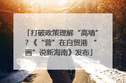 打破政策理解“高墙”？《“营”在自贸港 “画”说新海南》发布