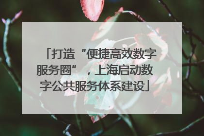 打造“便捷高效数字服务圈”，上海启动数字公共服务体系建设