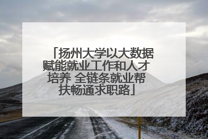 扬州大学以大数据赋能就业工作和人才培养 全链条就业帮扶畅通求职路