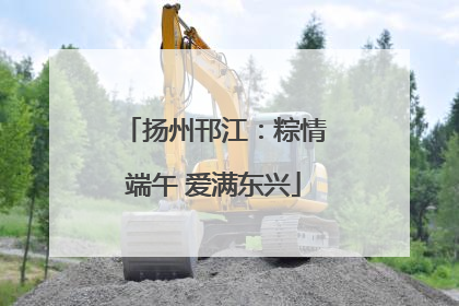 扬州邗江：粽情端午 爱满东兴