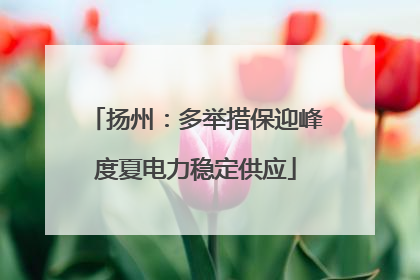 扬州：多举措保迎峰度夏电力稳定供应