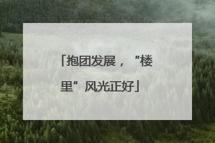 抱团发展，“楼里”风光正好