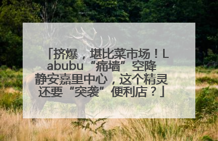 挤爆，堪比菜市场！Labubu“痛墙”空降静安嘉里中心，这个精灵还要“突袭”便利店？
