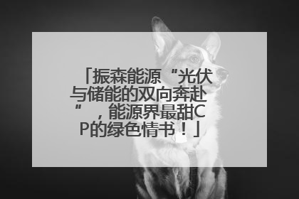 振森能源“光伏与储能的双向奔赴”，能源界最甜CP的绿色情书！