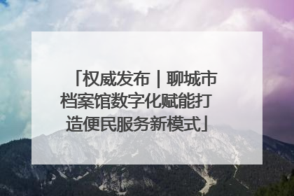 权威发布｜聊城市档案馆数字化赋能打造便民服务新模式