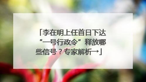 李在明上任首日下达“一号行政令”释放哪些信号？专家解析→