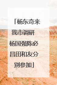 杨东奇来我市调研 杨国强陈必昌田和友分别参加