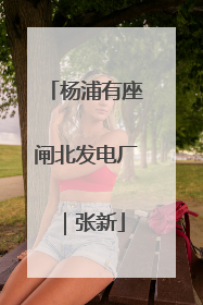 杨浦有座闸北发电厂｜张新