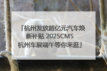 杭州发放超亿元汽车焕新补贴 2025CMS杭州车展端午等你来逛