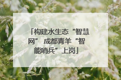 构建水生态“智慧网” 成都青羊“智能哨兵”上岗