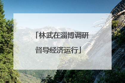 林武在淄博调研督导经济运行