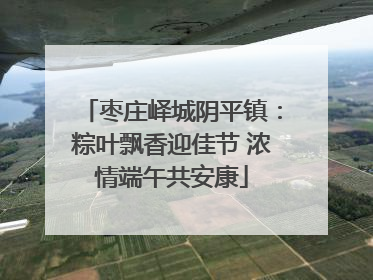 枣庄峄城阴平镇：粽叶飘香迎佳节 浓情端午共安康