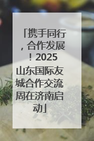 携手同行，合作发展！2025山东国际友城合作交流周在济南启动