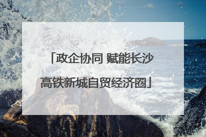 政企协同 赋能长沙高铁新城自贸经济圈
