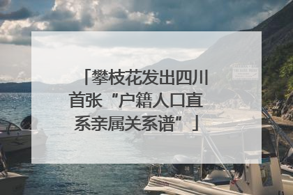 攀枝花发出四川首张“户籍人口直系亲属关系谱”