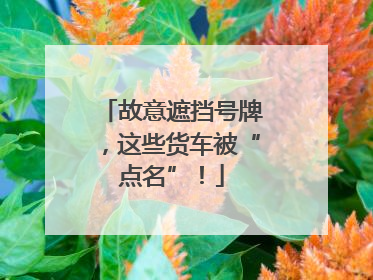 故意遮挡号牌，这些货车被“点名”！