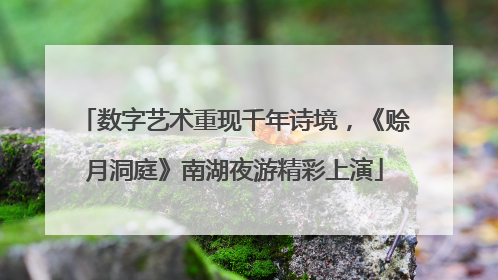 数字艺术重现千年诗境，《赊月洞庭》南湖夜游精彩上演
