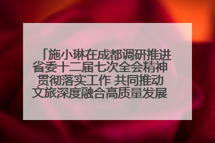 施小琳在成都调研推进省委十二届七次全会精神贯彻落实工作 共同推动文旅深度融合高质量发展 加快打造支柱产业民生产业幸福产业