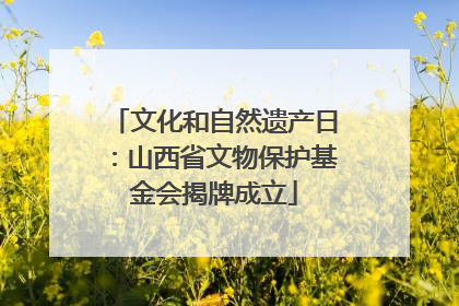 文化和自然遗产日：山西省文物保护基金会揭牌成立
