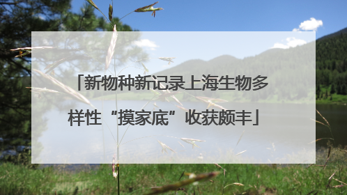 新物种新记录上海生物多样性“摸家底”收获颇丰
