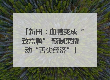 新田：血鸭变成“致富鸭” 预制菜撬动“舌尖经济”