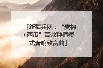 新疆兵团：“麦棉+西瓜”高效种植模式奏响致富曲