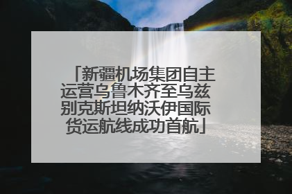 新疆机场集团自主运营乌鲁木齐至乌兹别克斯坦纳沃伊国际货运航线成功首航