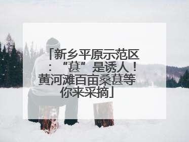 新乡平原示范区：“葚”是诱人！黄河滩百亩桑葚等你来采摘