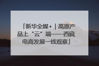 新华全媒+｜高原产品上“云”端——西藏电商发展一线观察