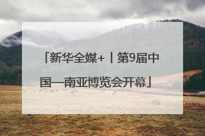 新华全媒+丨第9届中国—南亚博览会开幕