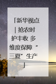 新华视点｜抢农时 护丰收 多维度保障“三夏”生产