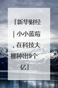 新华财经｜小小蓝莓，在科技大棚种出9个亿
