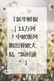 新华鲜报｜11万列！中欧班列跑出亚欧大陆“新时速”