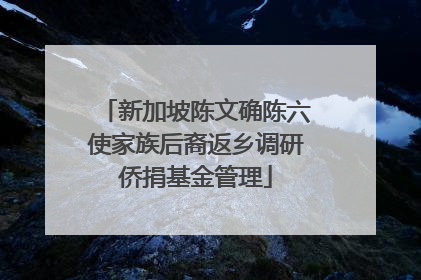 新加坡陈文确陈六使家族后裔返乡调研侨捐基金管理