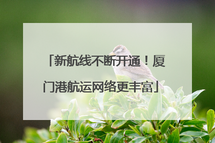 新航线不断开通！厦门港航运网络更丰富