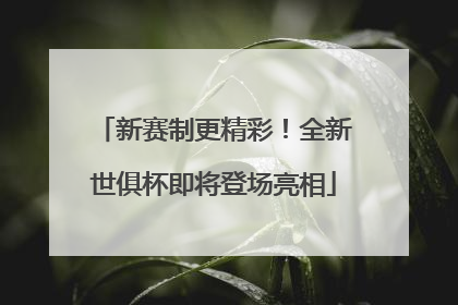新赛制更精彩！全新世俱杯即将登场亮相