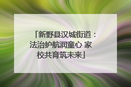 新野县汉城街道：法治护航润童心 家校共育筑未来