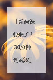 新高铁要来了！30分钟到武汉