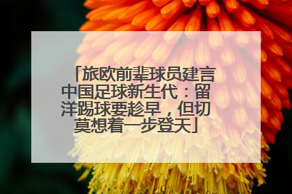 旅欧前辈球员建言中国足球新生代：留洋踢球要趁早，但切莫想着一步登天
