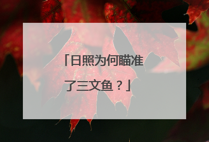日照为何瞄准了三文鱼？