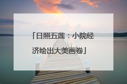 日照五莲：小院经济绘出大美画卷