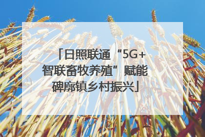 日照联通“5G+智联畜牧养殖”赋能碑廓镇乡村振兴