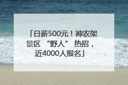 日薪500元！神农架景区 “野人” 热招，近4000人报名
