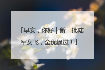 早安，你好｜新一批陆军女飞，全优通过！