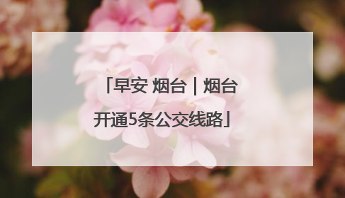 早安 烟台｜烟台开通5条公交线路