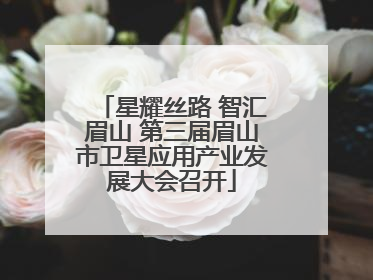 星耀丝路 智汇眉山 第三届眉山市卫星应用产业发展大会召开