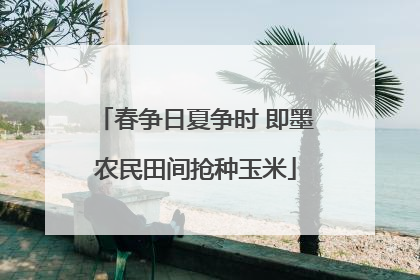 春争日夏争时 即墨农民田间抢种玉米