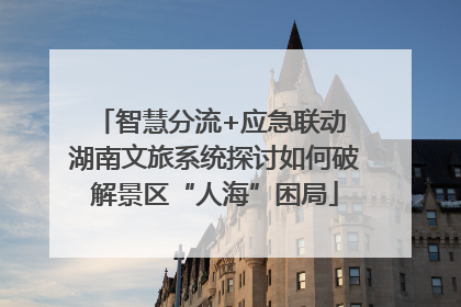 智慧分流+应急联动 湖南文旅系统探讨如何破解景区“人海”困局