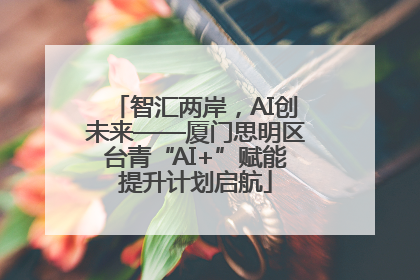 智汇两岸，AI创未来——厦门思明区台青“AI+”赋能提升计划启航