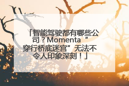 智能驾驶都有哪些公司？Momenta“穿行桥底迷宫”无法不令人印象深刻！